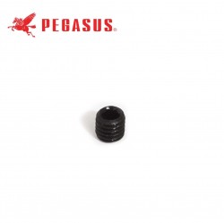 PEGASUS - PEGASUS 0045140 VİDA W500