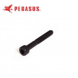 PEGASUS - PEGASUS 0045740 VİDA EX5200