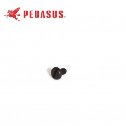 PEGASUS - PEGASUS 0071200 PLAKA DİLİ VİDASI W600